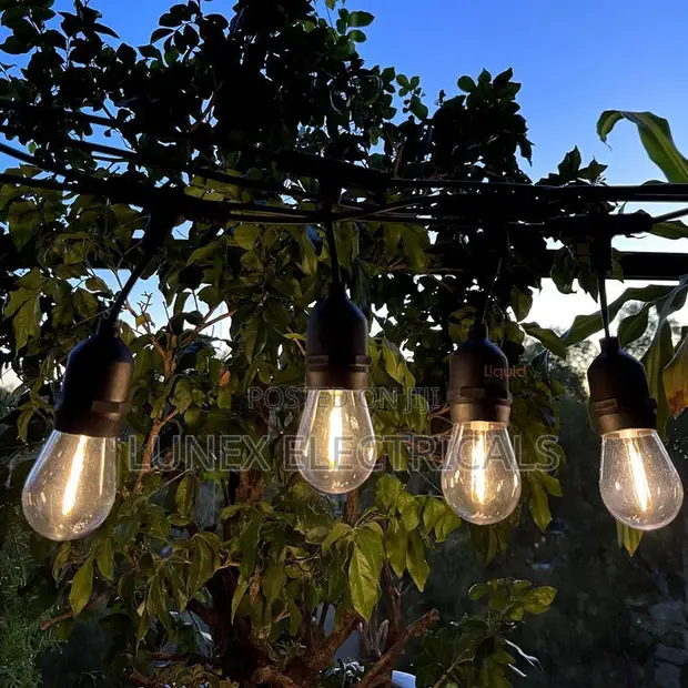 Ferry String Lights 20M 20 Bulbs Black Warm White Outdoor Waterproof - 1