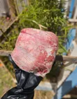 Chakula Kipya cha Mbwa - Ladha ya Kuku - 1