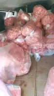 Chakula Kipya cha Mbwa - Ladha ya Kuku - 4