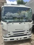 Isuzu Elf Freezer Body Truck 2019 - 1