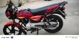 Bajaj Boxer 100 2019 Red - 4