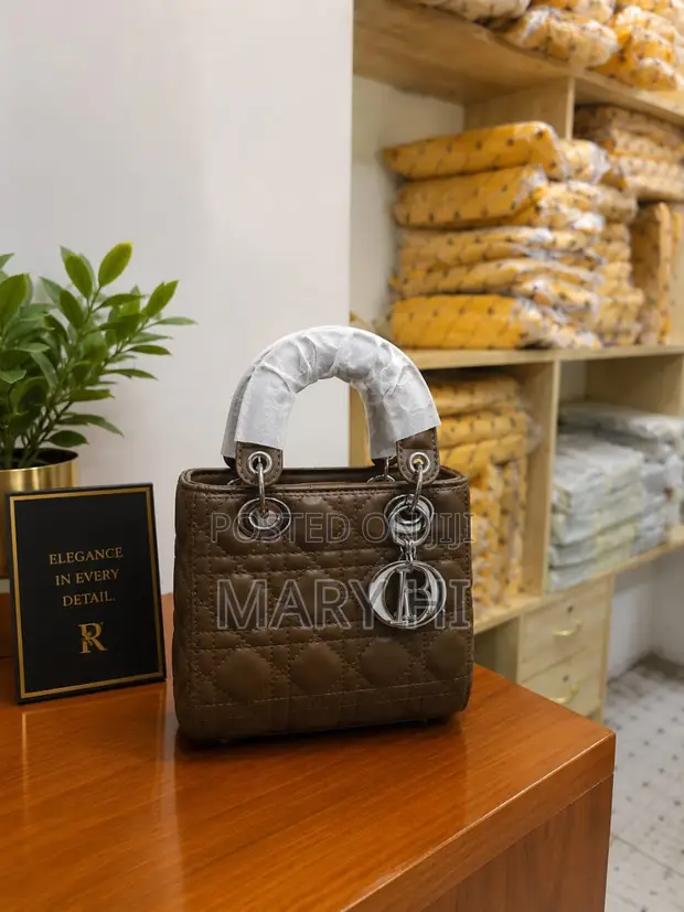 Mkoba wa Christian Dior - Rangi Nyingi - 1