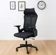 Lama Orthopedic Office Chair - 1