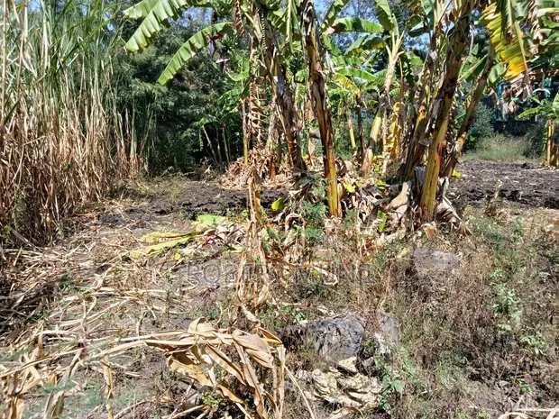 1/2 Acre Prime Land for Sale at Vet Ngong - 1