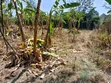 1/2 Acre Prime Land for Sale at Vet Ngong - 2