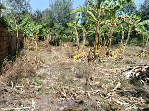 1/2 Acre Prime Land for Sale at Vet Ngong