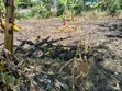 1/2 Acre Prime Land for Sale at Vet Ngong - 4