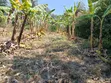 1/2 Acre Prime Land for Sale at Vet Ngong - 5