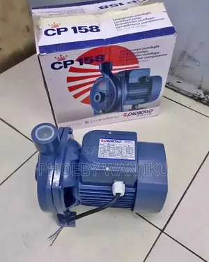 Pedrollo 1HP Booster Pump