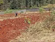 Residential Plots for Sale in Ruiru Muhasibu Silverbank Estate - 3