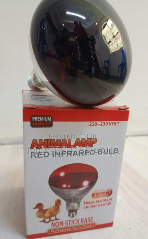 Bulb ya Joto ya Kuatamia Kuku ya Infrared - 1