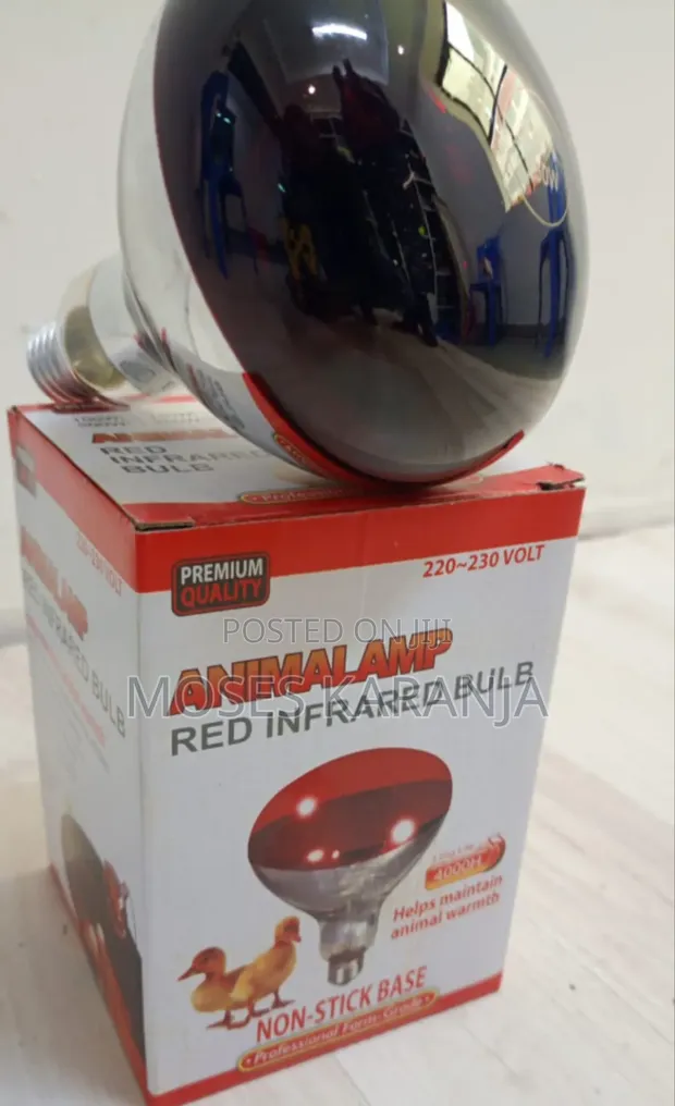 Chicken Brooder Heat Lamp Bulb - Brand New - 1