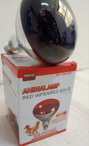 Chicken Brooder Heat Lamp Bulb - Brand New