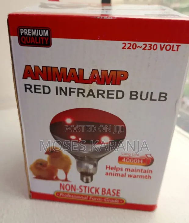 Poultry Chicken Heating Bulb - 1