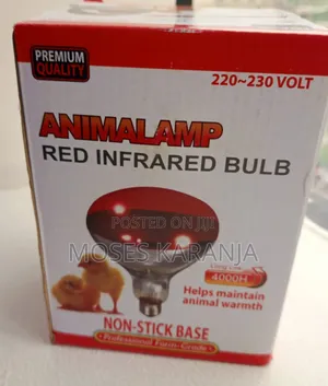 Poultry Chicken Heating Bulb