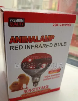 Bulb ya Joto ya Kuku