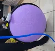 Bosu Balance Ball 75cm - 3