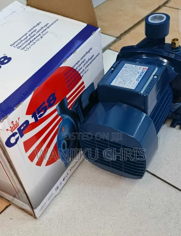 Pedrollo 1HP Electric Water Pump - 1