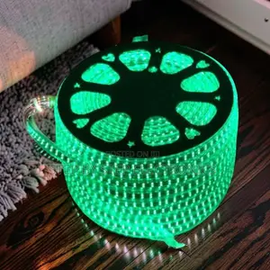 50m Green LED Strip Light Snake Light