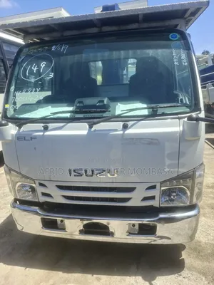 Isuzu Elf Crane Truck 4 Ton 2019 White