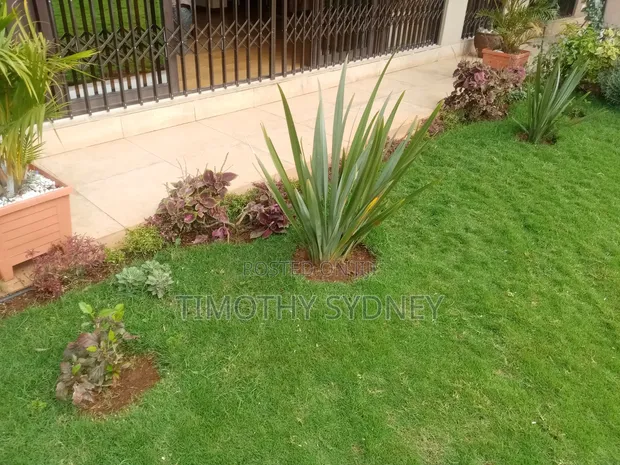 Monifa Garden Services: Landscaping & Gardening - 1