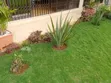 Monifa Garden Services: Landscaping & Gardening - 1