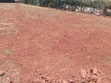 Monifa Garden Services: Landscaping & Gardening - 2