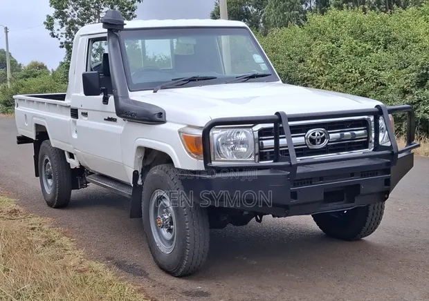 Toyota Land Cruiser 76 Series 2018 Pearl - 1