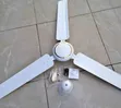 Premier 56-Inch 3-Blade Ceiling Fan - 2
