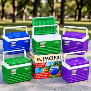 Versatile 4.5L Portable Cooler Box