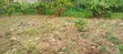 Plot Karibu na Thika Super Highway, Mpaka wa Kasarani/Githurai - 3