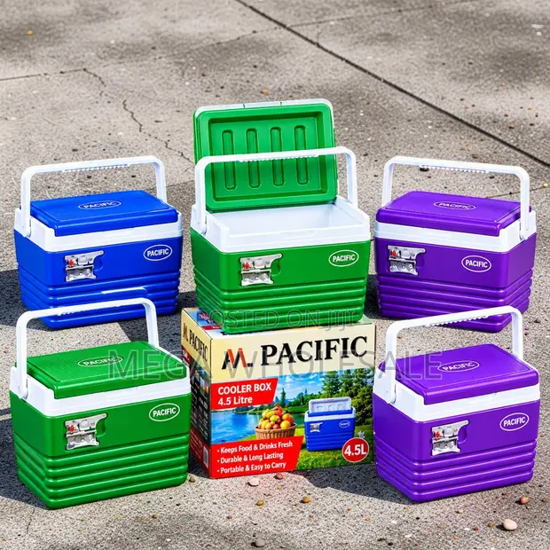 Sleek Premium 4.5L Handheld Portable Cooler Box - 1
