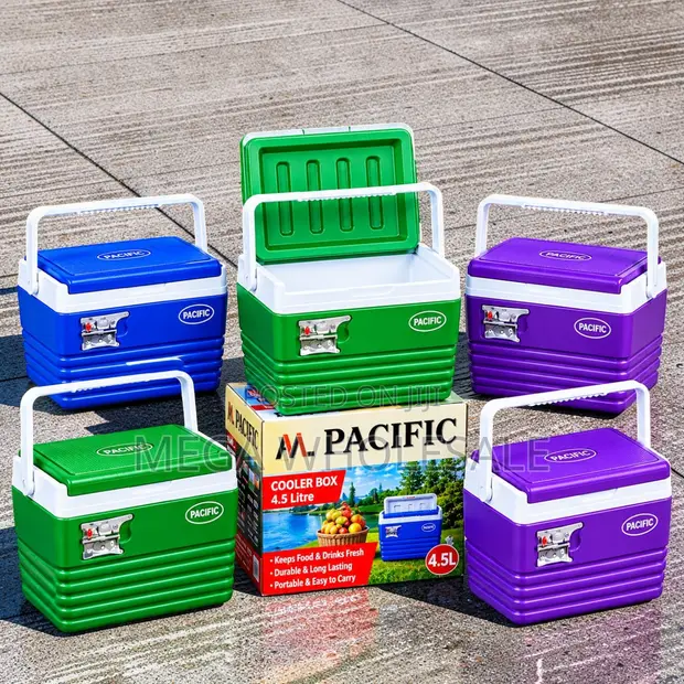 Commercial-Grade 4.5L Portable Cooler Box Ice Box - 1