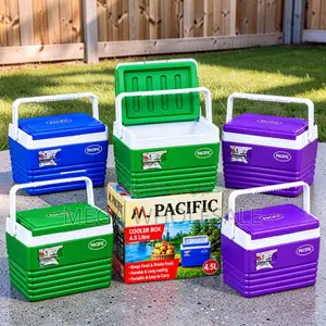 Professional-Grade 4.5L Food-Safe Handheld Cooler Box