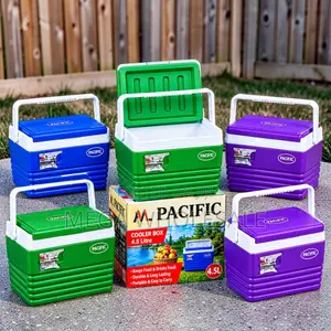 Heavy-Duty 4.5L Portable Cooler Box