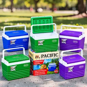 Rugged 4.5L Portable Cooler Box Ice Box