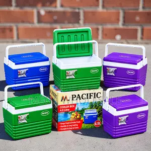 Compact 4.5L Portable Cooler Box