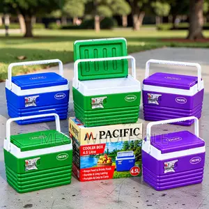 4.5L Portable Cooler Box Ice Box