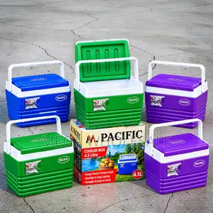 Portable 4.5L Handheld Cooler Box Ice Box
