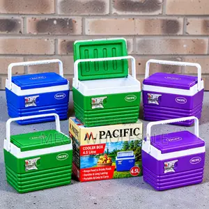 Easy-to-Clean 4.5L Portable Cooler Box