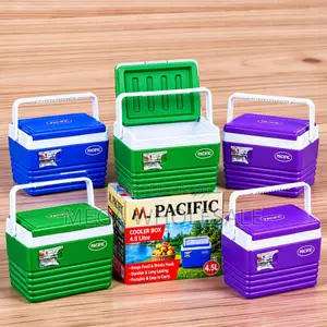 4.5L Portable Cooler Box Ice Box for Commercial Use