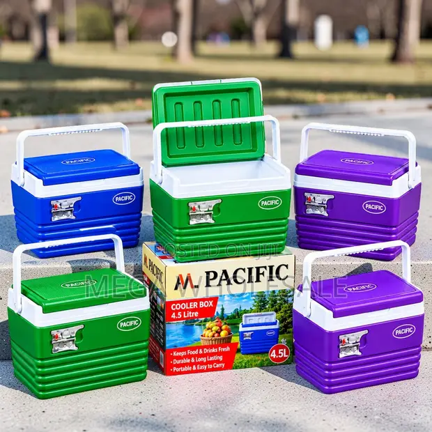 Carry Handles 4.5L Portable Cooler Box Ice Box - 1