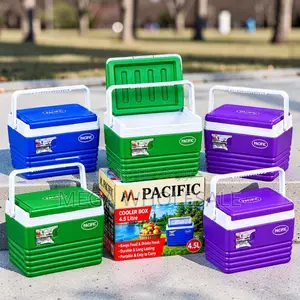 Carry Handles 4.5L Portable Cooler Box Ice Box