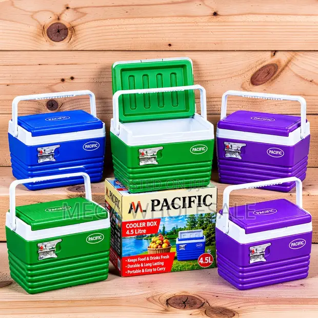 4.5L Handheld Portable Cooler Box Ice Box - 1