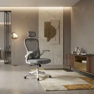 Ergonomic Fabric Office Chairs