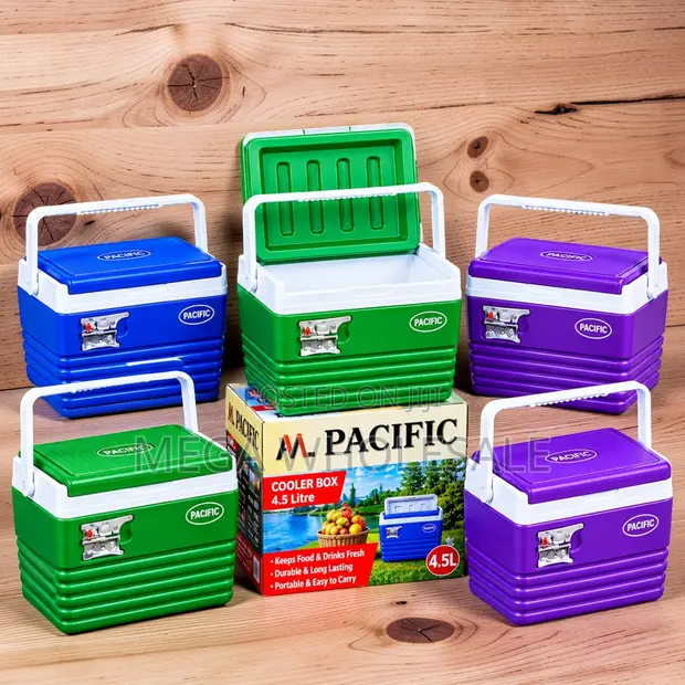 High Quality 4.5L Portable Cooler Box Ice Box - 1