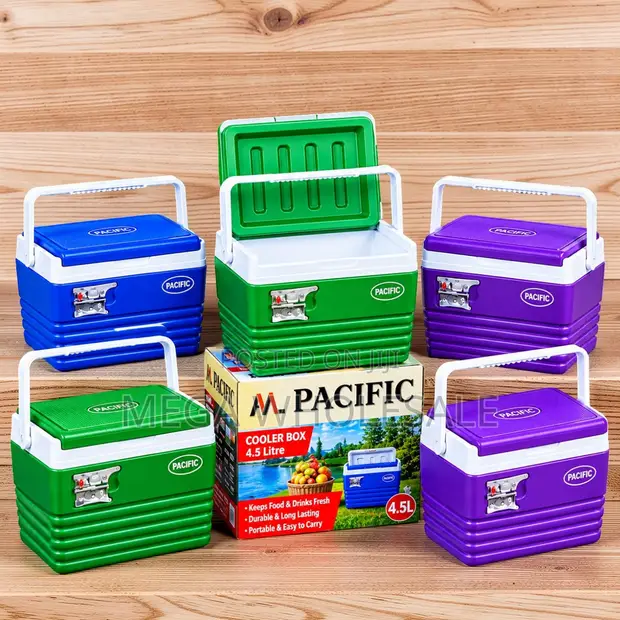 Lightweight 4.5L Handheld Portable Cooler Box Ice Box - 1