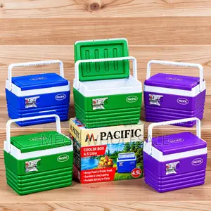 Lightweight 4.5L Handheld Portable Cooler Box Ice Box