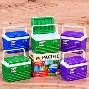 4.5L Portable Cooler Box Ice Box