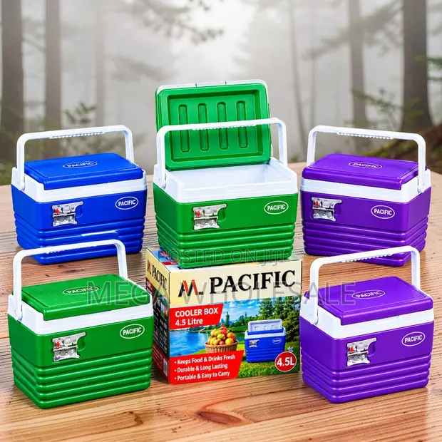 4.5L Portable Cooler Box Ice Box - 1
